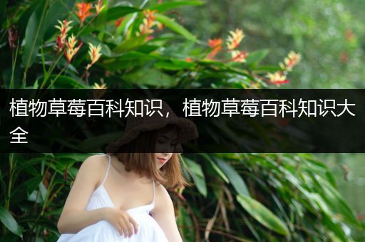 植物草莓百科知识，植物草莓百科知识大全