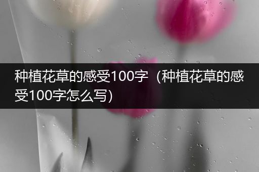 种植花草的感受100字（种植花草的感受100字怎么写）