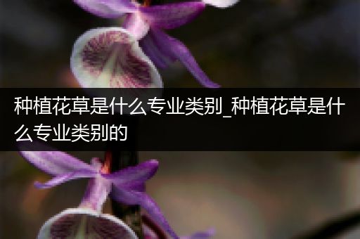 种植花草是什么专业类别_种植花草是什么专业类别的