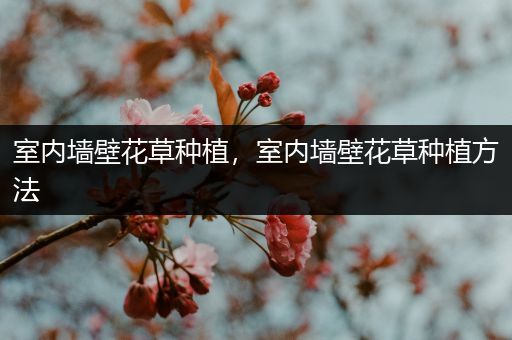 室内墙壁花草种植，室内墙壁花草种植方法