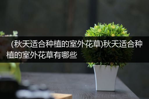 （秋天适合种植的室外花草)秋天适合种植的室外花草有哪些