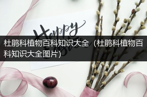 杜鹃科植物百科知识大全（杜鹃科植物百科知识大全图片）