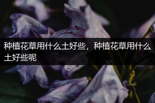 种植花草用什么土好些，种植花草用什么土好些呢