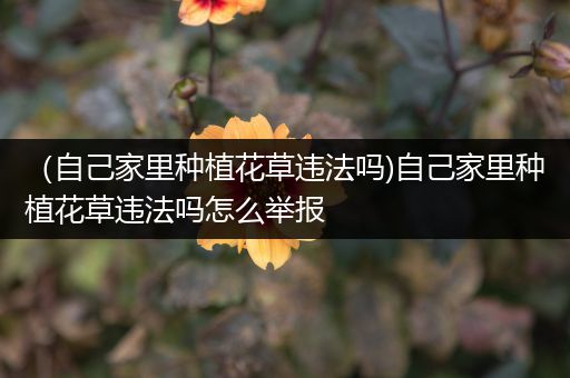 （自己家里种植花草违法吗)自己家里种植花草违法吗怎么举报