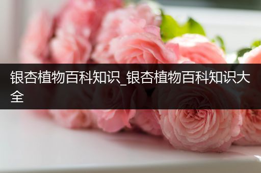 银杏植物百科知识_银杏植物百科知识大全