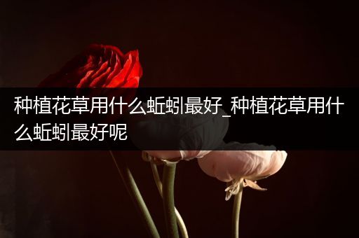 种植花草用什么蚯蚓最好_种植花草用什么蚯蚓最好呢