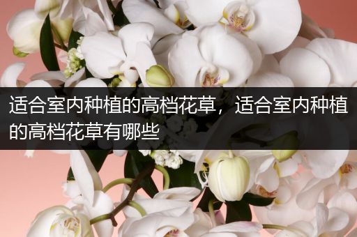 适合室内种植的高档花草，适合室内种植的高档花草有哪些