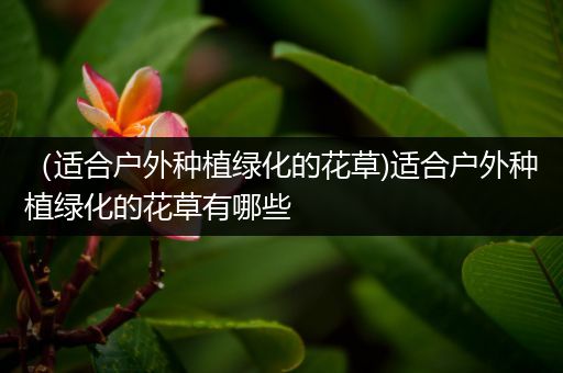 （适合户外种植绿化的花草)适合户外种植绿化的花草有哪些