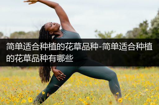 简单适合种植的花草品种-简单适合种植的花草品种有哪些