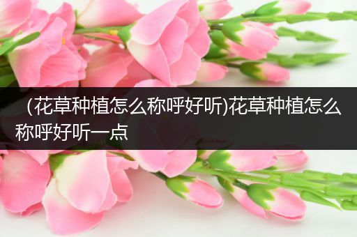 （花草种植怎么称呼好听)花草种植怎么称呼好听一点