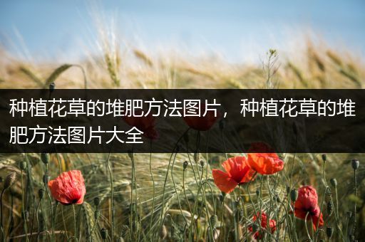 种植花草的堆肥方法图片，种植花草的堆肥方法图片大全