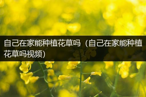 自己在家能种植花草吗（自己在家能种植花草吗视频）