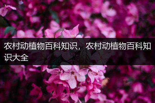 农村动植物百科知识，农村动植物百科知识大全