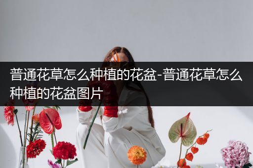 普通花草怎么种植的花盆-普通花草怎么种植的花盆图片