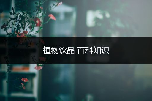 植物饮品 百科知识
