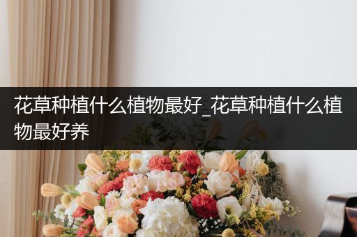 花草种植什么植物最好_花草种植什么植物最好养