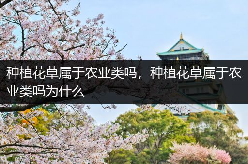 种植花草属于农业类吗，种植花草属于农业类吗为什么