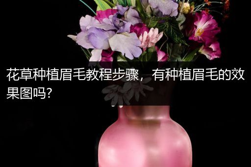 花草种植眉毛教程步骤，有种植眉毛的效果图吗?