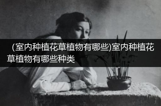 （室内种植花草植物有哪些)室内种植花草植物有哪些种类