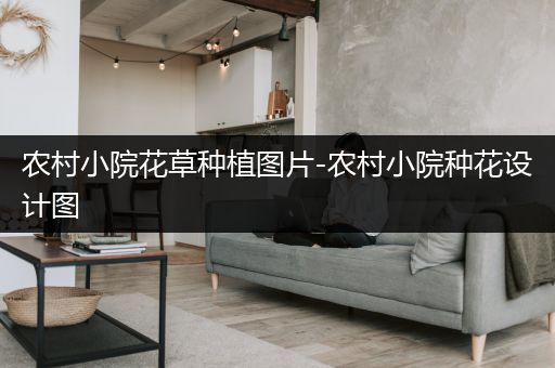 农村小院花草种植图片-农村小院种花设计图