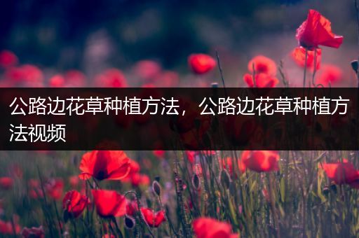 公路边花草种植方法，公路边花草种植方法视频