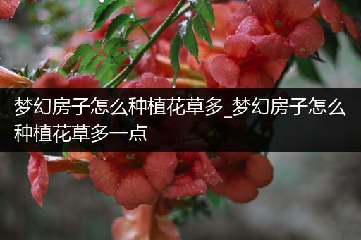 梦幻房子怎么种植花草多_梦幻房子怎么种植花草多一点