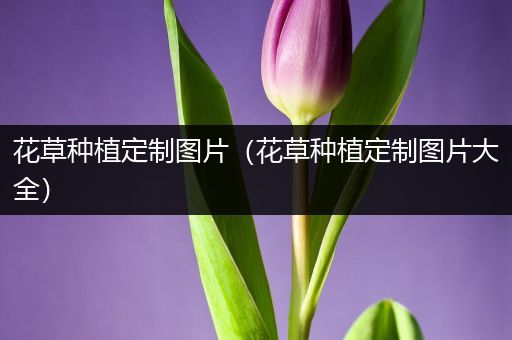 花草种植定制图片（花草种植定制图片大全）