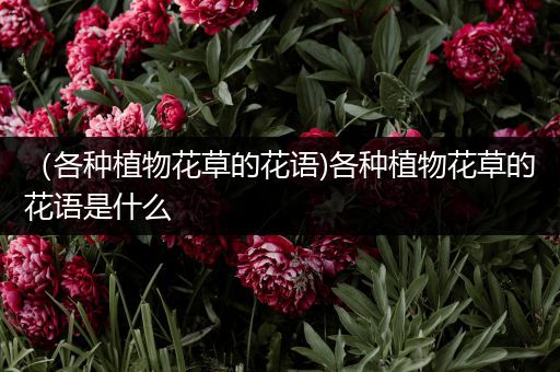 （各种植物花草的花语)各种植物花草的花语是什么