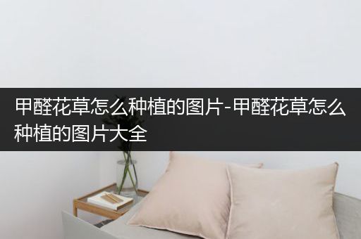 甲醛花草怎么种植的图片-甲醛花草怎么种植的图片大全