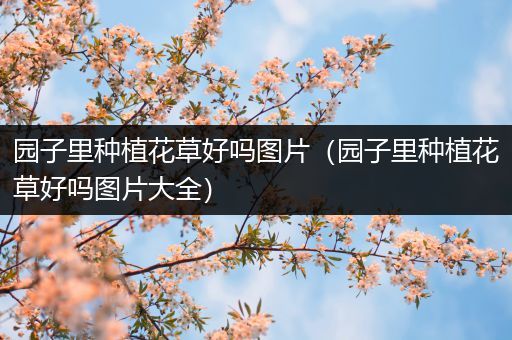 园子里种植花草好吗图片（园子里种植花草好吗图片大全）