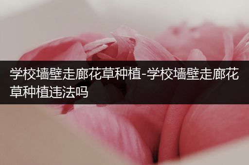 学校墙壁走廊花草种植-学校墙壁走廊花草种植违法吗