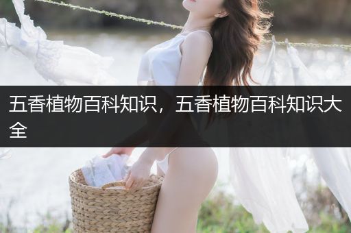 五香植物百科知识，五香植物百科知识大全