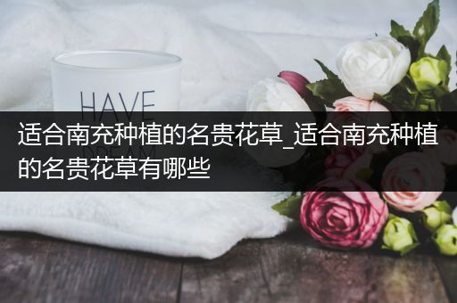 适合南充种植的名贵花草_适合南充种植的名贵花草有哪些
