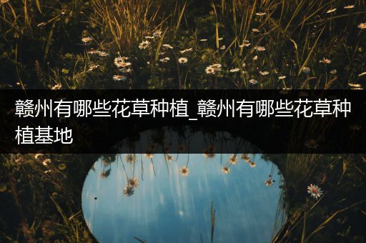 赣州有哪些花草种植_赣州有哪些花草种植基地