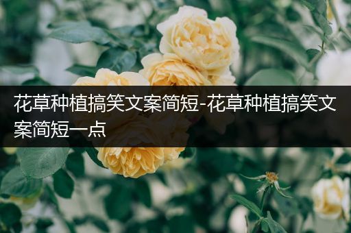 花草种植搞笑文案简短-花草种植搞笑文案简短一点
