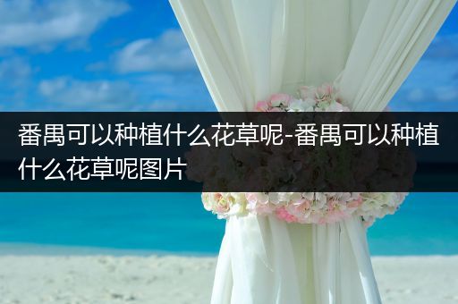 番禺可以种植什么花草呢-番禺可以种植什么花草呢图片