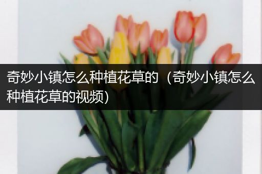 奇妙小镇怎么种植花草的（奇妙小镇怎么种植花草的视频）