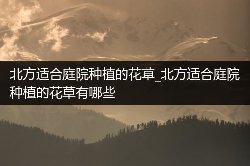 北方适合庭院种植的花草_北方适合庭院种植的花草有哪些