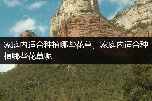 家庭内适合种植哪些花草，家庭内适合种植哪些花草呢