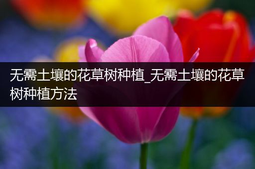 无需土壤的花草树种植_无需土壤的花草树种植方法