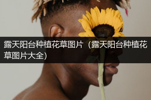 露天阳台种植花草图片（露天阳台种植花草图片大全）