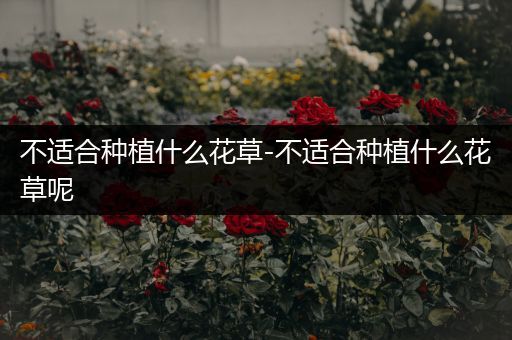 不适合种植什么花草-不适合种植什么花草呢