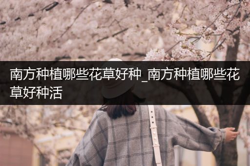南方种植哪些花草好种_南方种植哪些花草好种活