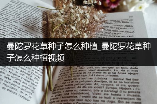 曼陀罗花草种子怎么种植_曼陀罗花草种子怎么种植视频