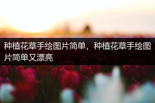 种植花草手绘图片简单，种植花草手绘图片简单又漂亮