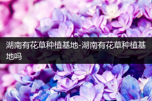 湖南有花草种植基地-湖南有花草种植基地吗