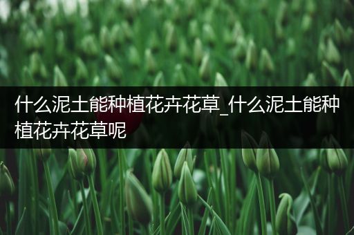 什么泥土能种植花卉花草_什么泥土能种植花卉花草呢