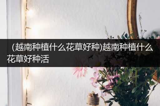 （越南种植什么花草好种)越南种植什么花草好种活