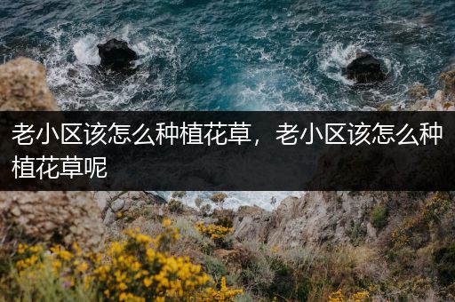 老小区该怎么种植花草，老小区该怎么种植花草呢