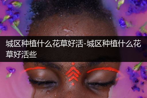 城区种植什么花草好活-城区种植什么花草好活些
